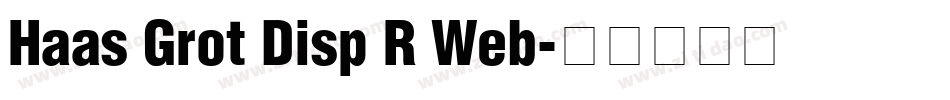 Haas Grot Disp R Web字体转换